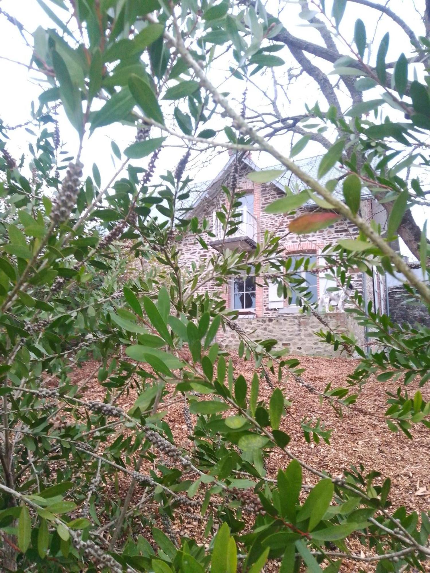 فيلا Domaine Le Gaudin - Saint Jean Le Thomas الغرفة الصورة